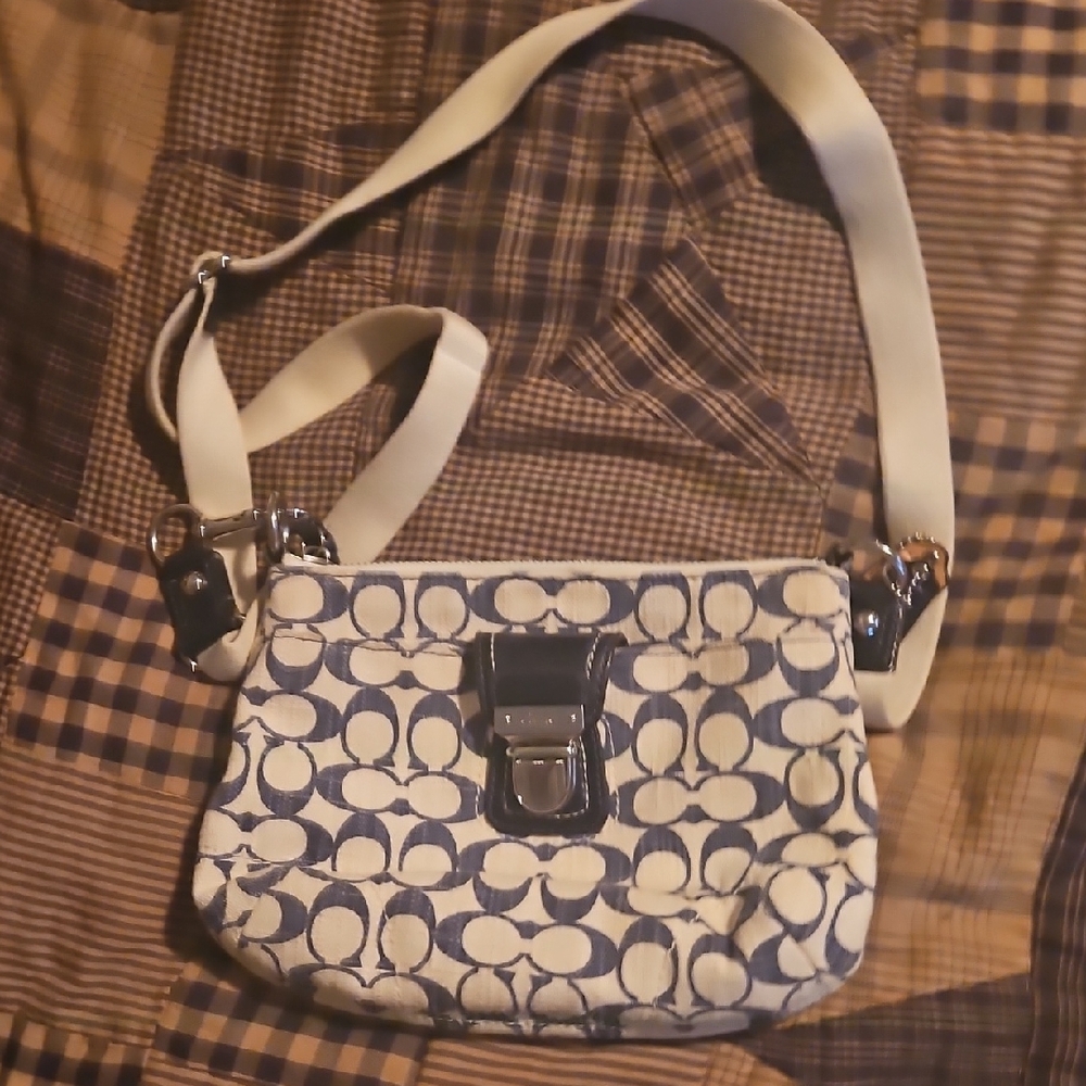 Stylish Cream and Blue Women's Bag